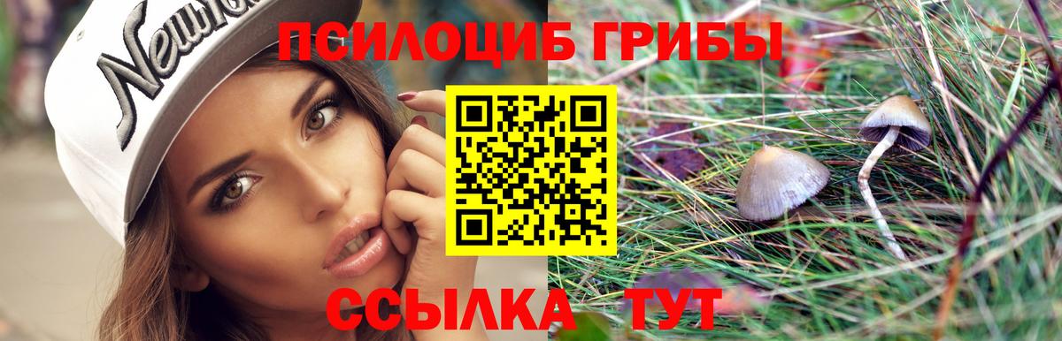Галлюциногенные грибы Psilocybine cubensis  Вход с VPN  Щёлково 